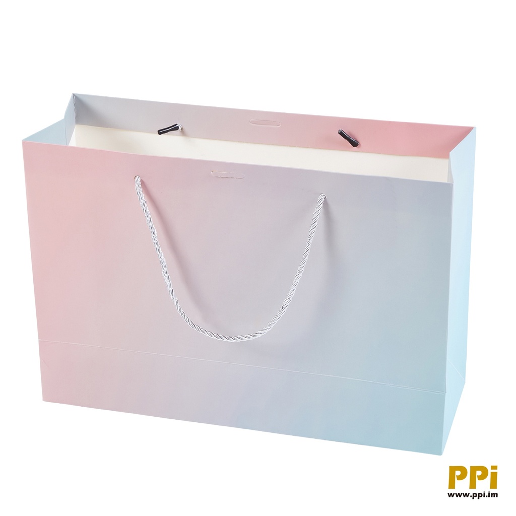 Paper bag with rope handle