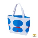 oxford cooler tote bag